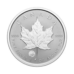 2024 $5 JifBA Vo[ [v [t 1 IX t@[Xg XgCN VN} vCx[g }[N BU