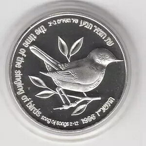 CXG 1996 ̐n̖쐶̃C`WN̖؂ƃiC`Q[ BU Vo[ RC