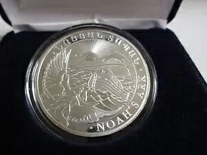 1 IX 0.999  2013 AjA mA̔M RC P[XtAC