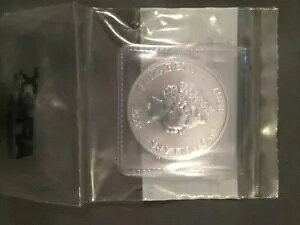 ~bL[}EX 2020 fBYj[ NX}X EB^[ zfCY fBYj[ 1 IX .999 Vo[ RC