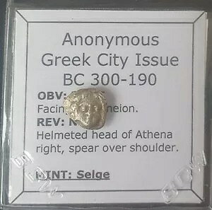 M432# �����M���V���s�s�Z���Q���s�̋�݁A�I���O 300 �` 190 �N