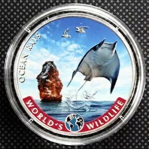 2023 RS 20 t J[ꂽI[V CY .9999 Vo[ 1 IX̒nRC }^