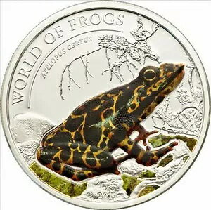 pI 2011 Atelopus Certus(B) J[݁Av[t