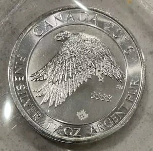 2016 �J�i�_ �z���C�g �t�@���R�� ���[�v�� ���[�t �v�����B 1 1/2�I���X.9999 �V���o�[�R�C��