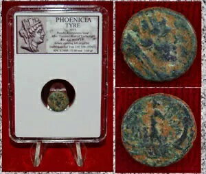 Ñ̃RC tFjLA ^C ɗeBPƃAX^e