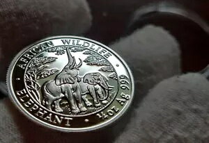 2003 UrA]EAAtJ̖쐶Av[tA1/4 IX݁A1000 N`