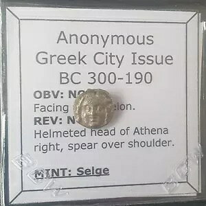 M416# �����M���V���s�s�Z���Q���s�̋�݁A�I���O 300 �` 190 �N