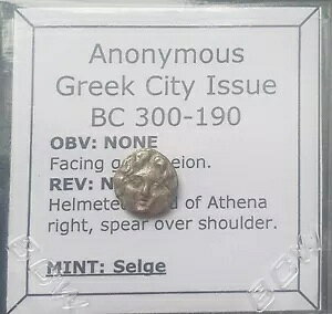 M410# �����M���V���s�s�Z���Q���s�̋�݁A�I���O 300 �` 190 �N