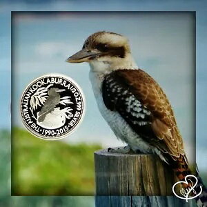 2015 1/2 IX {̃I[XgACJZ~ Vo[ v[t RC - 25 NLO