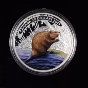 2015 $20 �㎿��� Beaver at Work �񔄏��