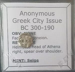 M430# �����M���V���s�s�Z���Q���s�̋�݁A�I���O 300 �` 190 �N