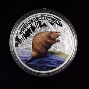 2015 $20 �㎿��� Beaver at Work �񔄏��