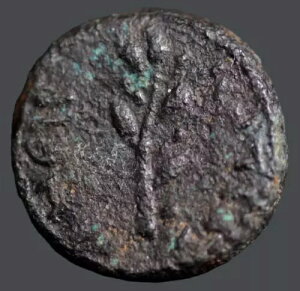 MV̌ÑRCBZEVEXƃsGAAAeBILAB NERO.?15mmB 3.80O #568