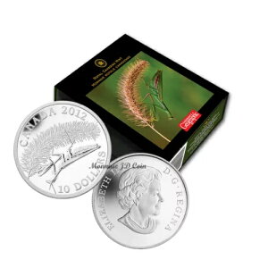 2012 Ji_ $10 nJ}L t@C