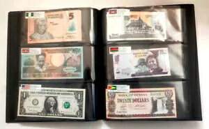 �O������100�� 50�����̎��� �A���o���R���N�V����C�t��