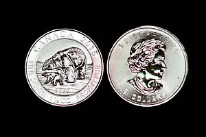 2015 1.5IX Vo[ $8 Ji_̖쐶 VN}ƃJu BU .9999 Vo[