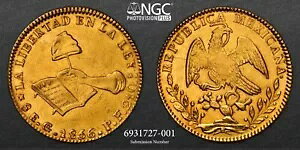1856 GO PF 8�G�X�N�[�h�i8E�j�u�S�[���h�v���L�V�R NGC AU �ڍׁu�N���[�j���O�ς݁v#6931727-001