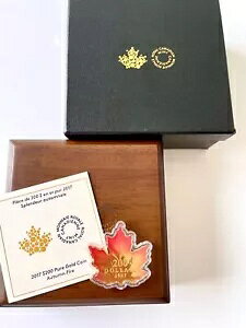 �J�i�_ - 2017 - 200�h�� - ���[�v�����[�t - �I�[�^���t�@�C�A - 1�I���X �J���[�v���[�t�S�[���h -