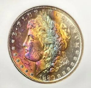 1880-S �����X�^�[���C���{�[�����K���_���[ NGC MS65 �z�b�g�s���N�Ɣ������F PQ