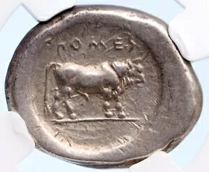 |ZChjA pGXgD JjA 470BC ÑVo[ X^[^[ MV RC NGC cVF i61200