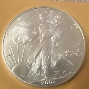 2002 1 IX Vo[ AJ C[O (uAg)