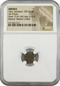 ���_���l�v���^ (�I���O 103 �` 76 �N) NGC �X���u�̃E�B�h�E�Y �}�C�g - ���Ԍ���I�t�@�[! ????