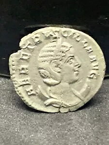 [}̋݁BwjAEGgVAAgjjAkXB[}BvfBVeBAB ( 300 )