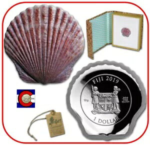 2019 tBW[ 10 O g LXgAEFC J[ J[ꂽLk Vo[ v[t RC COA OGP