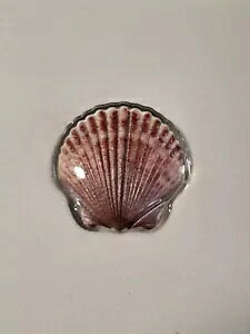 2019 LXgAEFC RNV Lk 10g z^eLRC 1 h tBW[ 999