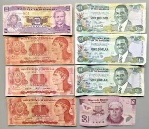 �o�n�}�A���L�V�R�A�z���W�����X����̎����ʉ� 8 �����b�g�A�č���������