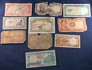 �x�g�i���ʉ݃x�g�i���h������11���̃��b�g�ʐ^��������������