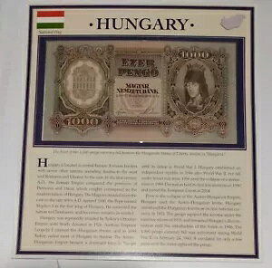 1943 NnK[ 1000 ySg󂾂J[hɐ܂ڂȂ