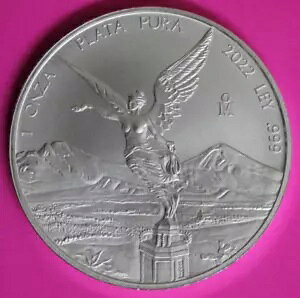 Gem BU 2022 LVR x^ ʐ^̓RC 1 IU 1 IX 0.999 Vo[ RC 103