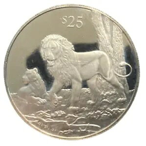 1993 p̃@[W 25 Vo[ v[t RC Ŋ뜜̖쐶 - CI