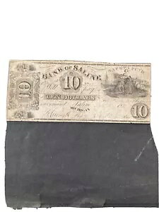 廃止された通貨、ミシガン州生理食塩水銀行 - 生理食塩水銀行 $10