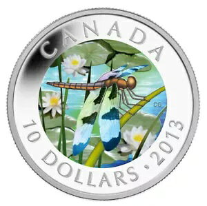 2013 $10 gDGu X|bebh XL}[ g{ - RC
