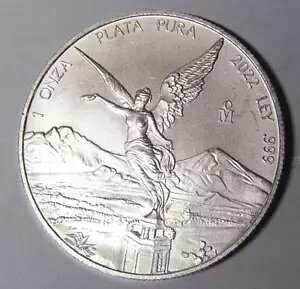 2022 LVR x^ Vo[ IU .999 t@C Vo[ 1 IX  (72724)
