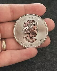 2015 1 IX Vo[ JifBA [v [t .9999 t@C $5 RC