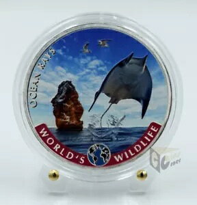 �R���S 2023 - �I�[�V���� ���C�Y - ���E�̖쐶���� - 1 �I���X �J���[�ŋ��