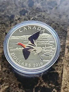 2016 Ji_ $20 .9999  n蒹 AJA{V_