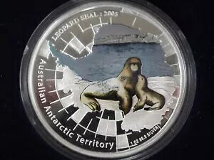 2005 $1 I[XgAɏBqEV[ v[t 1IX Vo[ - !