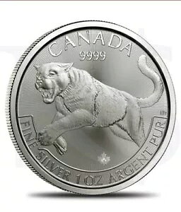 1 IX 999 t@C Vo[ 2016 Ji_ vf^[ V[Y N[K[ nRC