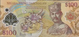 2013 NulC 100 Mbgʂ܂B 100 Mbgʉ݃|}[