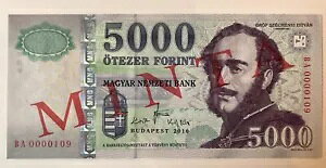 nK[ 5000 tHg 2010 CVg@[ Z[`F[jƍ u_yXg UNC