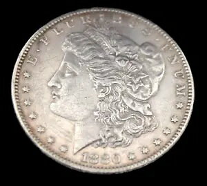 1880 ���[�K�� �h����� �j���[�I�[�����Y (BTS1195)