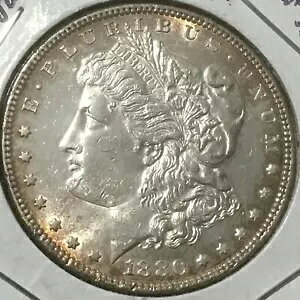 1880 P �����K�� �_���[ �G���h �I�u ���[���R�C�� �����X�^�[ �g�[�j���O �\�� �z���C�g ����