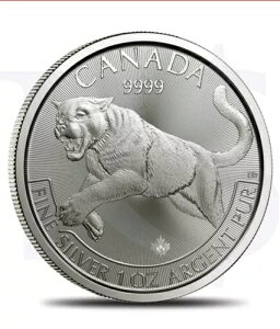 1 IX 999 t@C Vo[ 2016 Ji_ vf^[ V[Y N[K[ nRC