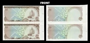 fBu vObVu P19Av[t yA