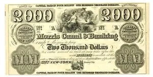 A X^[ TCY 1830 N X Ji & oLO W[W[ VeB j[W[W[B 2000 h! CHCU