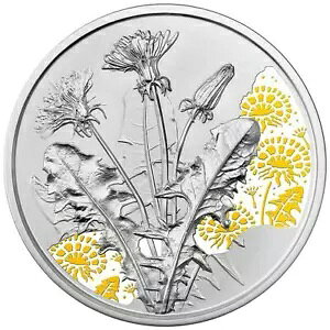 Vo[ RC ^||̉ (2.) 2022 - I[XgA - P[X - 16.82 gr PP-